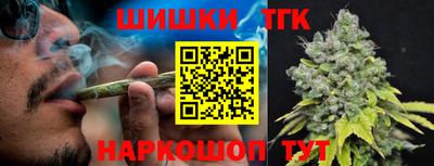 скорость Заводоуковск
